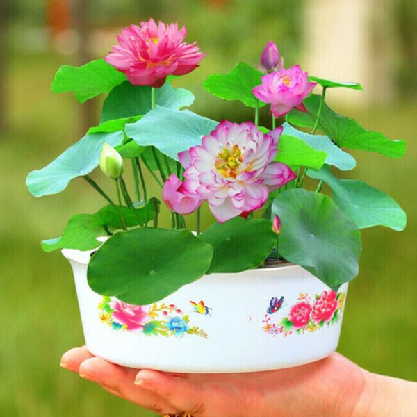whatsapp image 2025 07 06 at 01.55.28 30f60357
